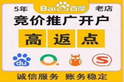SEM外包策略在电商平台的成功案例