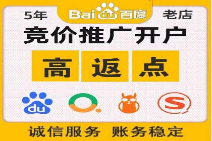 竞价SEM案例解析：电商行业营销策略
